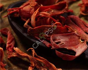 Mace CO2 Extract Oil