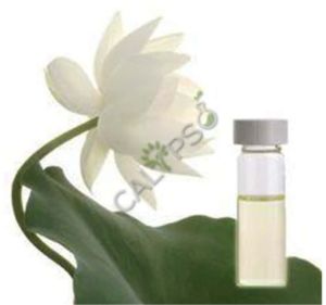 White Lotus Absolute Oil