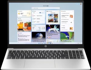 HP 250 39.6 Cm G10 Business Laptop