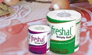 Toilet Rolls Family Size Pack