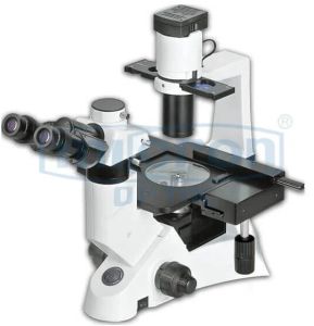 Inverted Microscope, Head Type : Trinocular, Inclined At 30&DEG;