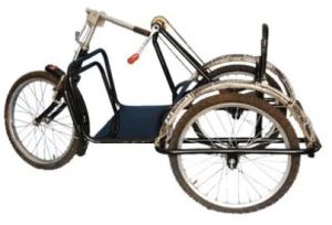 Handicapped Child Tricycle