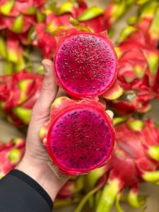 dragon fruit