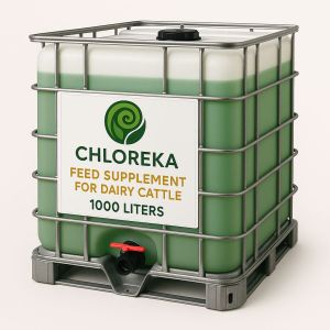 1000L Chloreka Dairy Cattle Feed Supplement