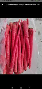 Mathania Red Carrot
