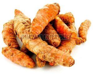 High Quality Turmeric Fingers, Packaging Size : 1Kg, 5Kg, 25Kg