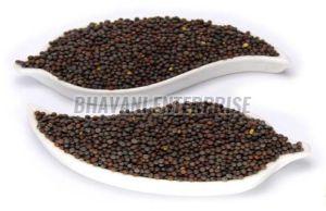 Natural Mustard Seeds, Color : Yellow/brown