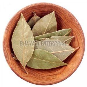 Premium Bay Leaf, Color : Olive Green, Form : Whole Leaves