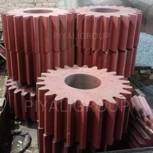 Sponge Iron Plant Pinion Gear