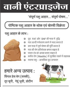 Organic Corn Avni Pashu Aahar Cattle Feed, Color : Light Yellow