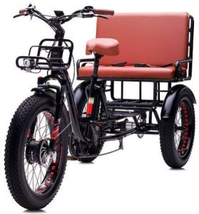 Electric Tricycle with Two Seater