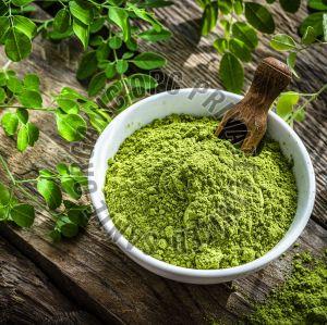 Moringa Powder, Color : Green