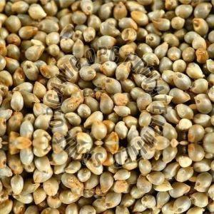 Organic Pearl Millet, Packaging Size : Bulk: 1kg | 5kg | 10kg | 25kg