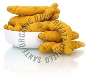 Yellow Organic Turmeric Finger Food Grade