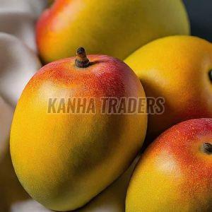 Alphonso Mango