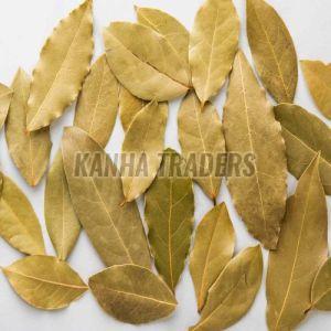 Bay Leaves