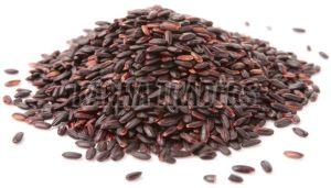 Indian Natural Black Rice