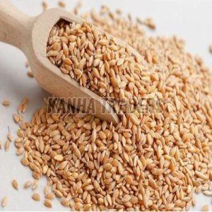 Organic Wheat Seeds