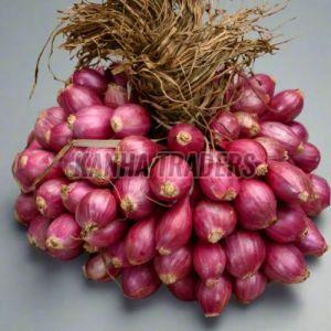 Pink Onion