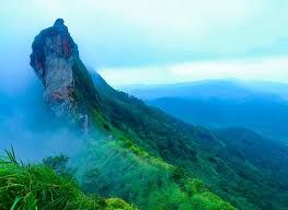 Kottayam Domestic Tour Service