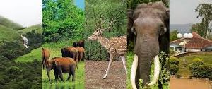 Koyna Wildlife Trip