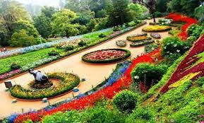 Magical Mysore Ooty Tour Package