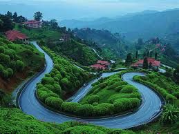 Nainital Kausani Ranikhet Tour Package