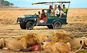 South Africa Katavi Safari Tour