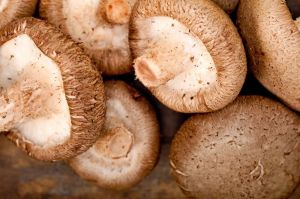 Natural Shiitake Mushroom, Color : Brown for Food, Medicine