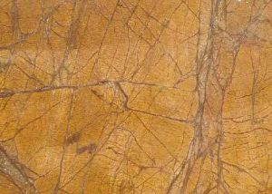 Veined Rainforest Gold Marble Slab for Countertops, Flooring