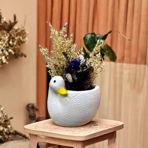 Duckie Delight Ceramic Planter