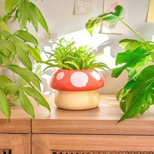Polished Mushroom Bliss Ceramic Planter, Packaging Type : Red Yellow
