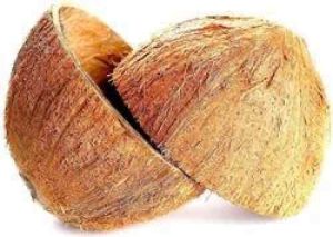 Semi Husked Coconut Shell, Color : Brown Dried
