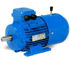 Electric Brake Motor, Voltage : 220V, Certification : ISO 9001:2008