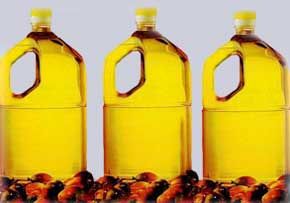 Palm Oil