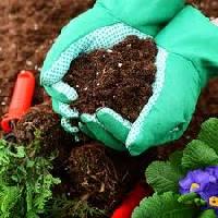 garden fertilizer