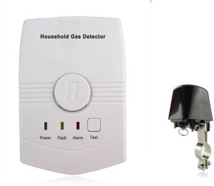 Combustible Gas Detector With Manipulator