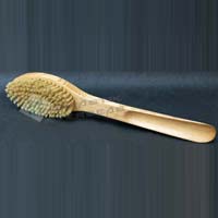 Shoe Brush with Shoe Horn