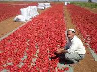 Sun Dried African Red Pepper