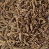 cumin seed