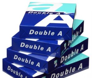 Paper & Paper Products