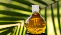 coleus palm rose oil
