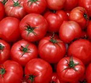 Fresh, Organic & Preserved Vegetables