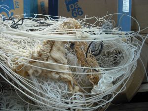 Plastic & Powder Coatings