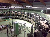 dairy farm systems