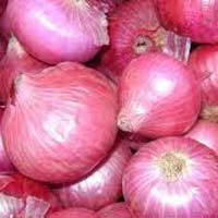 fresh red onion