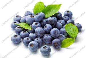 Blueberry Pterostilbene