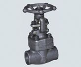 Forged Steel Globe Valve