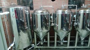 1 Bbl Stainless Steel 304 Conical Fermenters