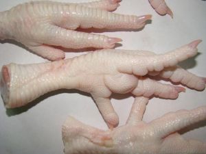 Chicken Feet,  Shelf Life : 10-15 Days